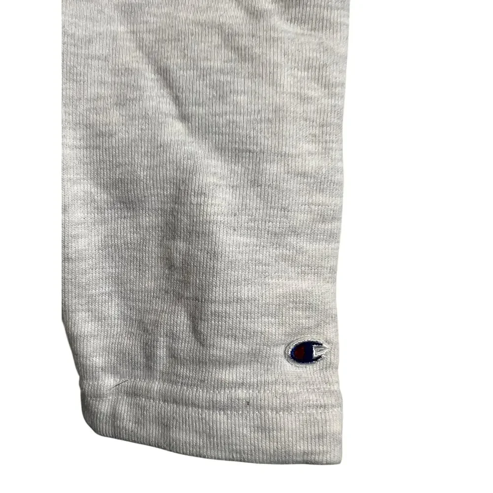 Champion Panthers Hoodie University Northern Iowa M Medium Casual Athleisure - Picture 2 of 6